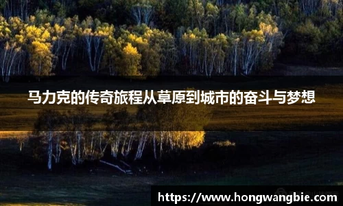 马力克的传奇旅程从草原到城市的奋斗与梦想